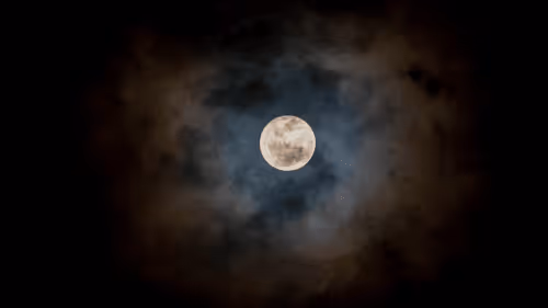 Item #93376088004058715635902471097401552149257290609147284986368570472699638317057 Media