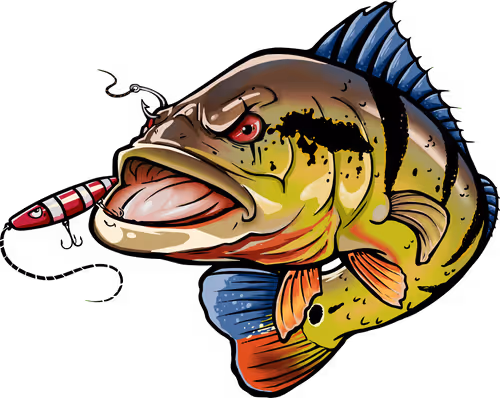 Untitled Collection #205119995