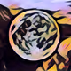 110771495891997965881536627542100989958250682671583000691697156824233582526465