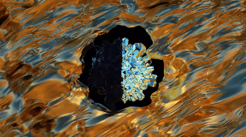 Item #34407012467013264369072826680281558624243883765584913843852975018767082848257 Media