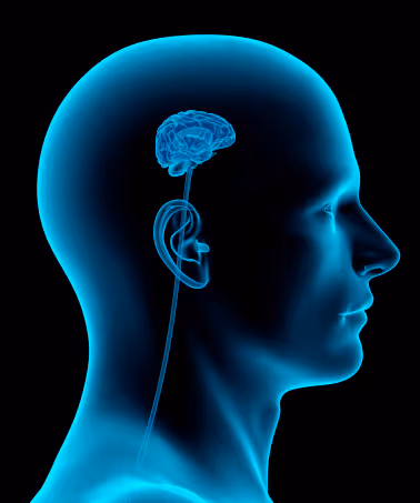 Item #73935048245723919043519717833397592126069228825379297960610271000946446172161 Media