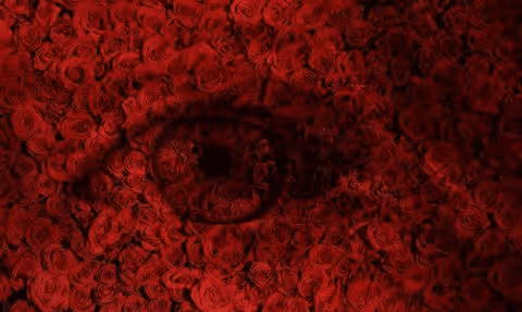 Item #103383157871716217206394651799322879721052206901459155610129808458429371515213 Media