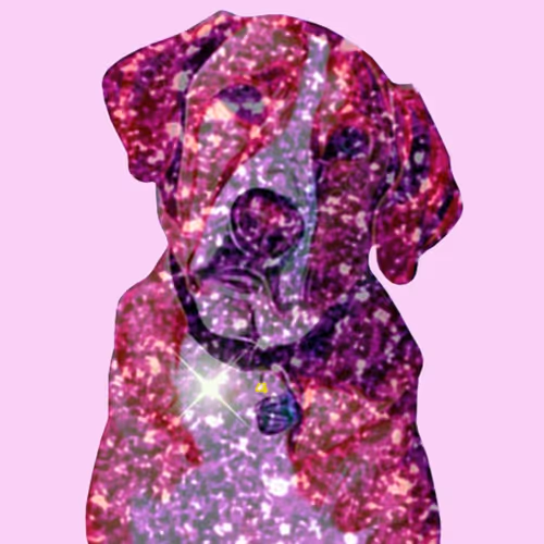 Item #110378335312233197330410508870131564689287998347478760610614496880850083250276 Media