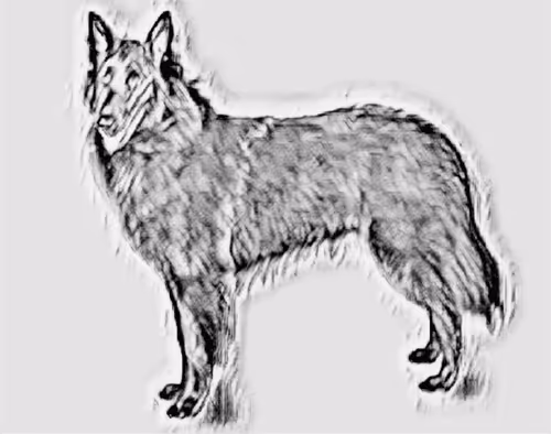 Item #23143313246472061328071561115701105421589606567298838424350448155534638972929 Media