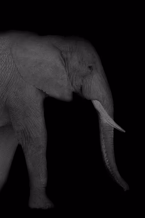 Item #28567716502395368545190530539508003003615259793471226078435859191283285229618 Media