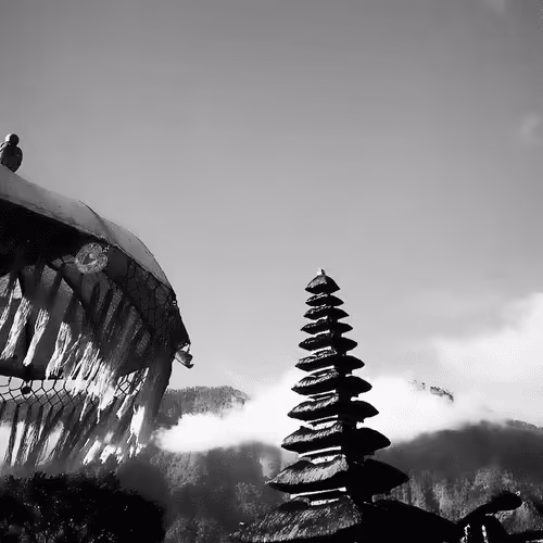 Item #31624274509119207472621893609913632294592170804295754614641563347072017498113 Media