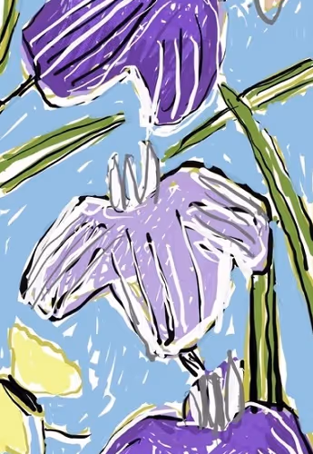 Untitled Collection #55137636