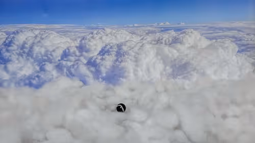 Item #32382354995311206636930955851818118108425029471473268411146207419446197223524 Media