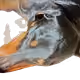 74388183107571848256633446996010033662379072698002169646249461053154876456961