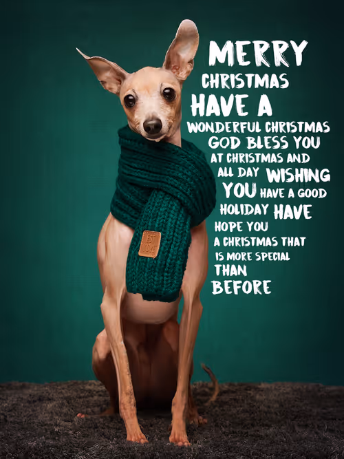 Item #8036610274517614856282005705215780499318604713549687172679363411513530384387 Media