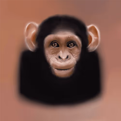 Untitled Collection #179497728