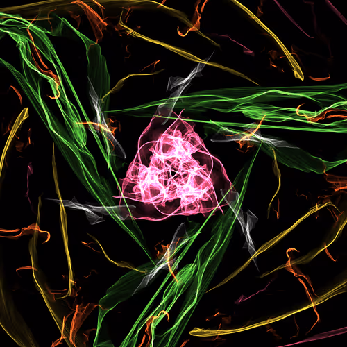 Item #67019870843783985423946260680933932642988373018159864755465967383862696738817 Media