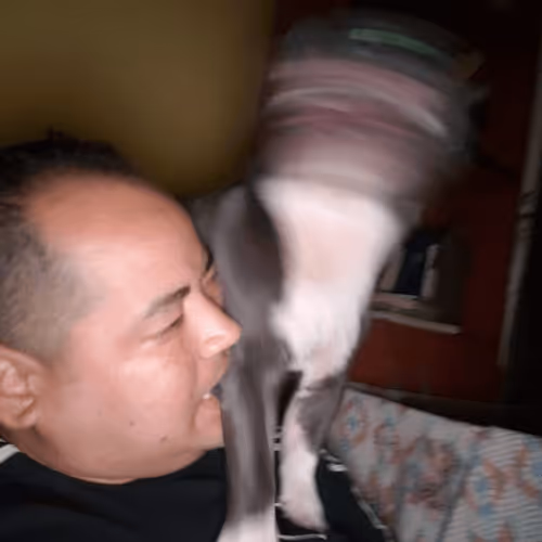 Item #32237202173720727343948986965561335091197107318394763909165930959416678416385 Media