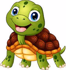 sweet turtle