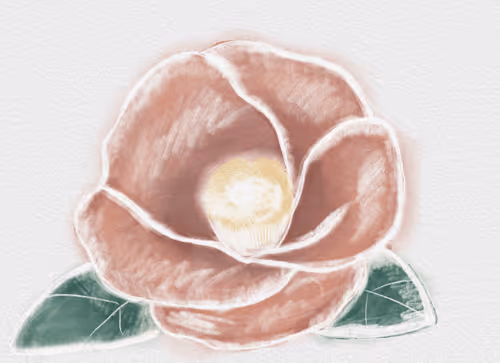 Item #5806560429028510016927636303875382551208880304073644506271374102803781779457 Media