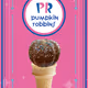 Pumpkin Robbins (Cake Cone) | #010