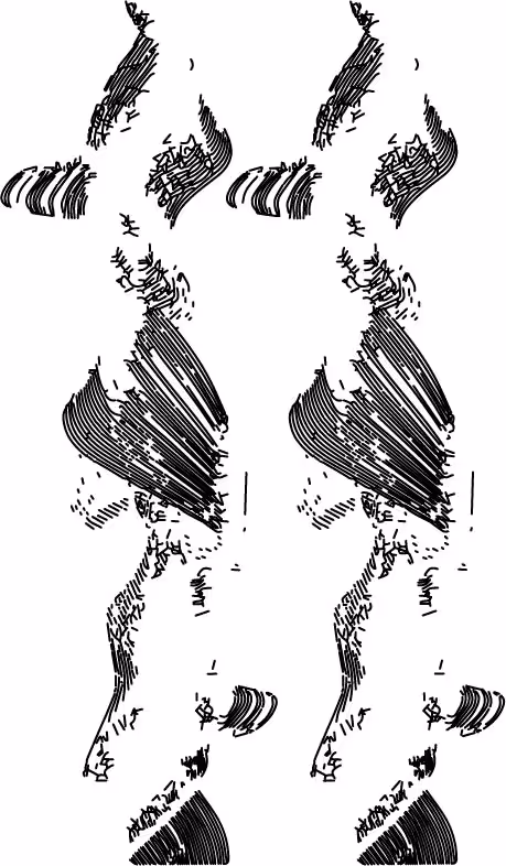 Item #101281412615480963839000332591888888405073117740278103702244148767948745474049 Media