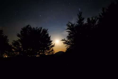 Item #61601413983432262200822046408210296549184035160504594584973518300687175254026 Media