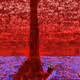 33283924449693921295784105923564570671532600433777614484947068025823756812289