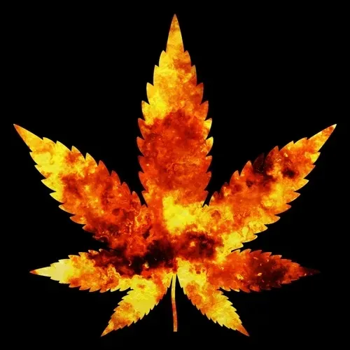 Item #27429404742285856424020713709496491268388893896169540775489702310138234273802 Media