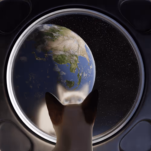 Item #26815554922952984568958822484457819459205587980226817897908346172829037756421 Media