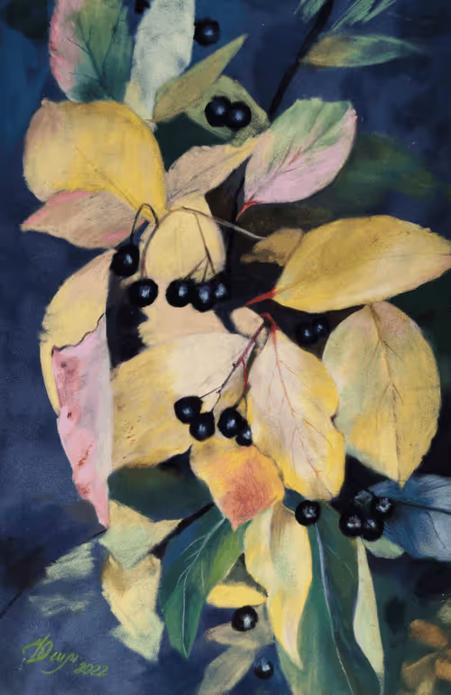 Item #272326784736274056950604951025850415985635919028263811604276997444383801345 Media