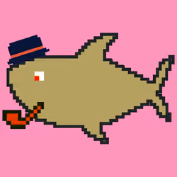 Crazy Shark #20