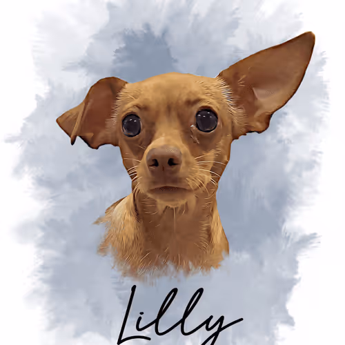 Lilly
