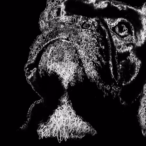 Item #20286817641922993541065929101952433978531825078991625494647867356802868838401 Media