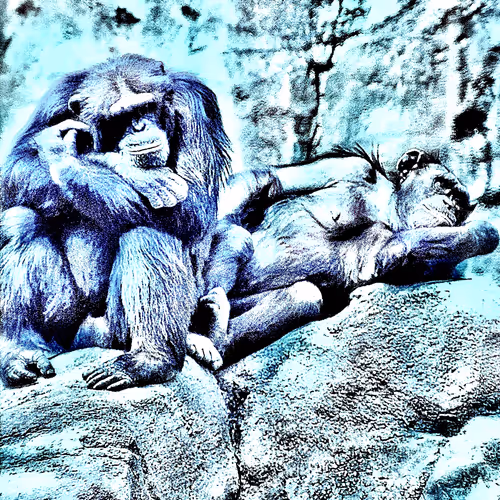 Item #105394010161551018097936078642910549059002323015222353178191530191023991947265 Media