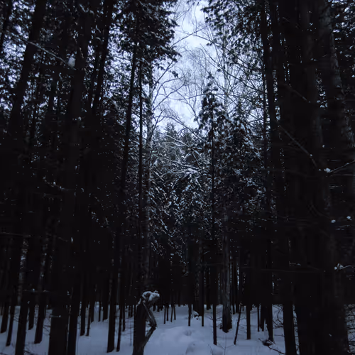 Item #39781805688626842994046507888546694714899270474383352618679520635800858394625 Media