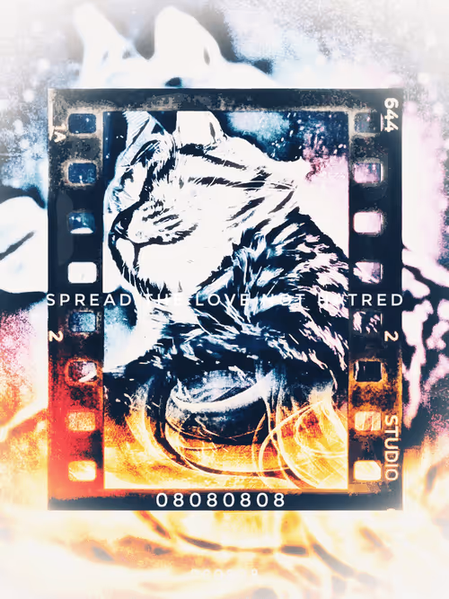 Item #79960430426561695494080117896553478252784794469094828787665606322292424441864 Media