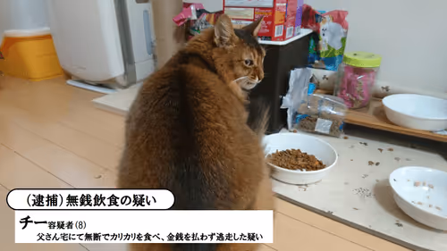 Item #88680272721371285934501562988049178859599418492822572919113237425677240631297 Media