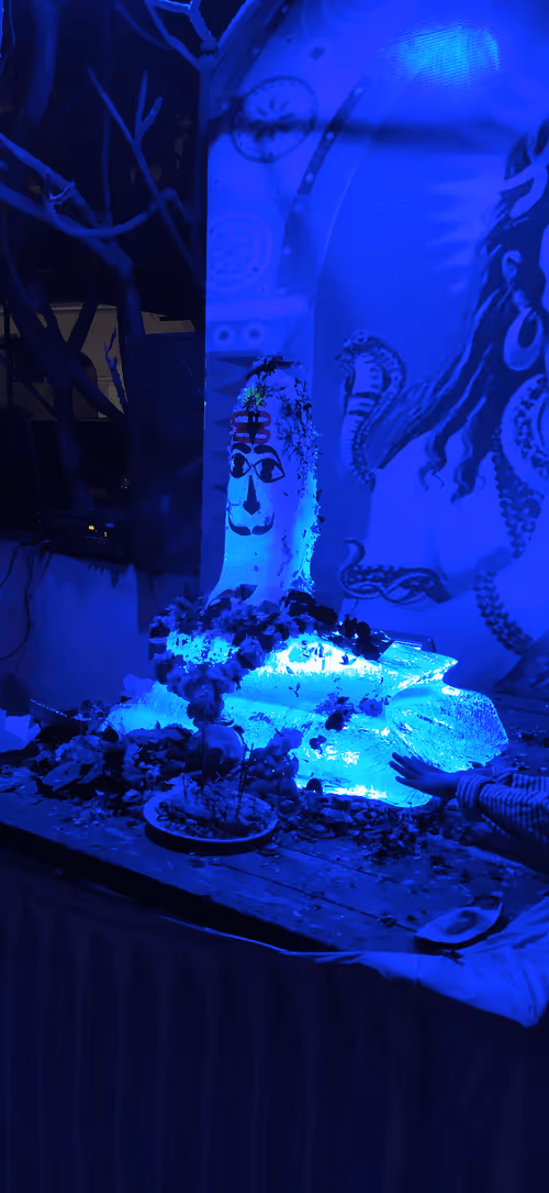 Item #12482093472768592147298085303644852702498619296241180501750779881240951521281 Media