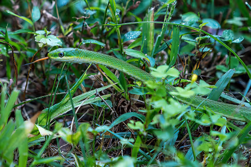 Item #101688571717009762434089317341940249362126227108207836659387340214441984655361 Media