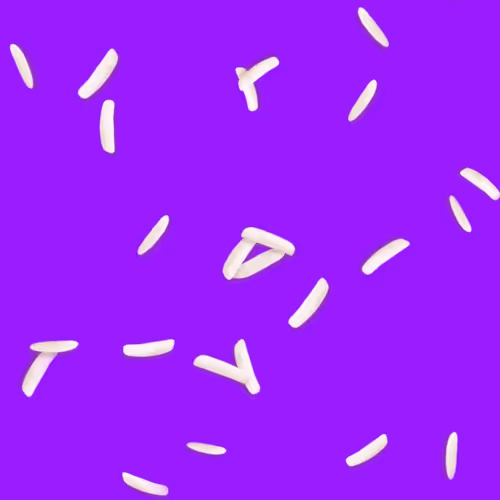 Ricegrains Zip7F9vsae