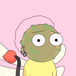 14325872341161521868285146798690700372449135077498720180606411265718051930113