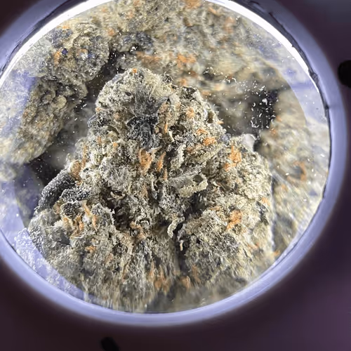 Untitled Collection #246947796