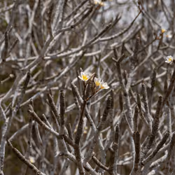 105679162715773690367894814568251153202929894369313826483118647804808090615809