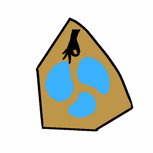 Item #31263636131226973368289420857060638752320776807065294095735073463488173047809 Media