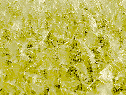 Item #765092353256913632150919755788123742064288550691722566356929313366263988234 Media