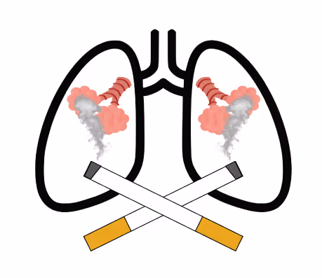 Item #27917072973309372789132871804827767057096324304554366931119978120073667674113 Media