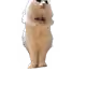 77693431496492719897563846973078047230151567954343784641164337548514635546625