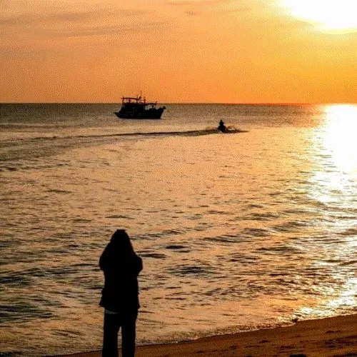 Item #60300796295848899419979883998012983763513974908106922950436944758913170931713 Media