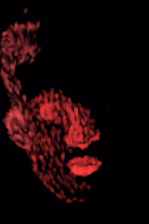 Item #57573687023322309286007415591219119359698109662731039190434121091764608565249 Media