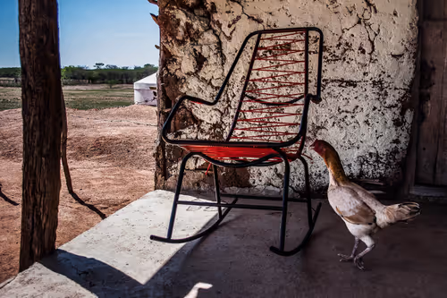 Item #101575229607926485862469706425422547905702674538468073786273286320298668326917 Media