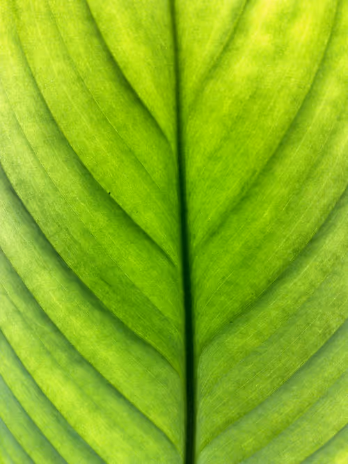 Item #82712815971244092813465389762182899895907359824221698107808348022447104065537 Media