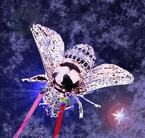 Item #82013525006953393872410545798719538741225788364663216848453751258910421943272 Media