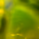 22379308869482956180716580208691734508844198724336024540551692021350780633089