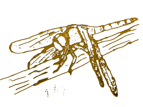 Item #80926432860847288351557924068159633664804178470775081465336394620165521670477 Media